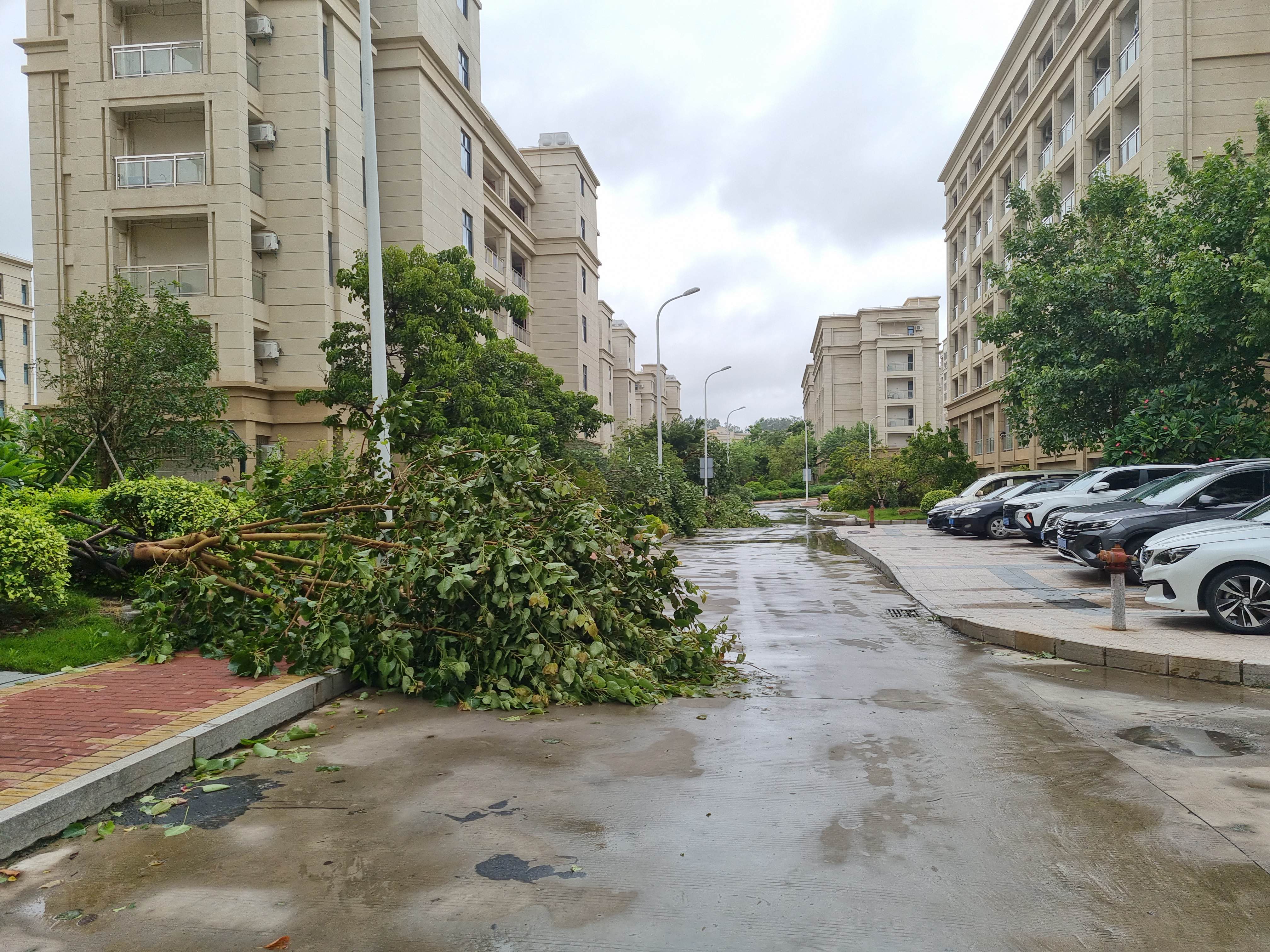 第一次遇到台风